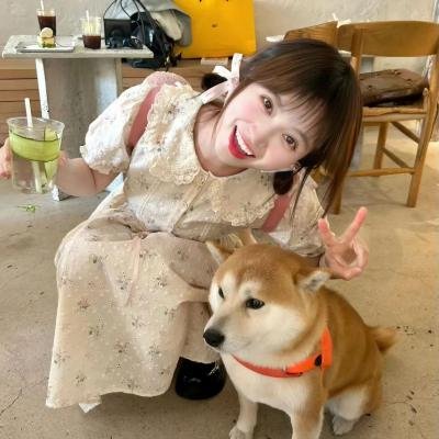 寻找幸福的日子